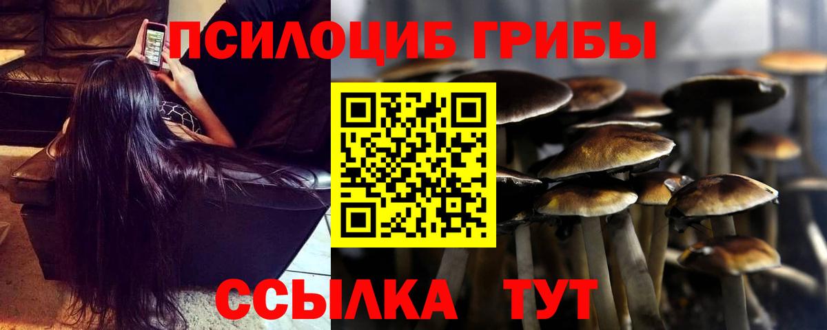 Баксан  Галлюциногенные грибы Cubensis  Вход с VPN 